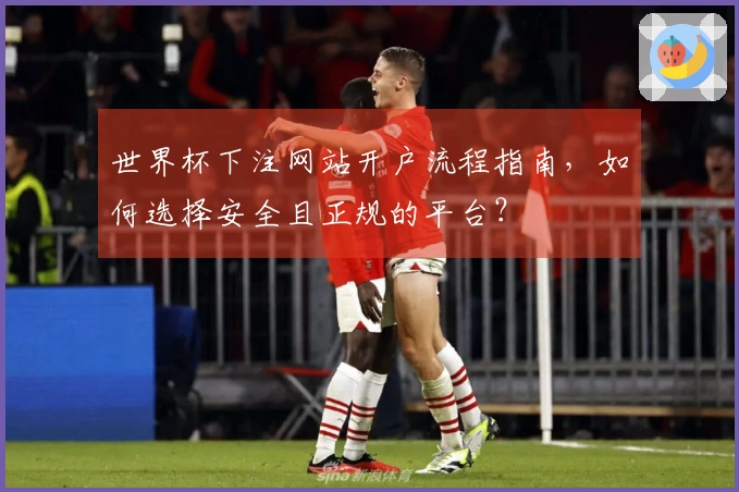 世界杯下注网站开户流程指南，如何选择安全且正规的平台？