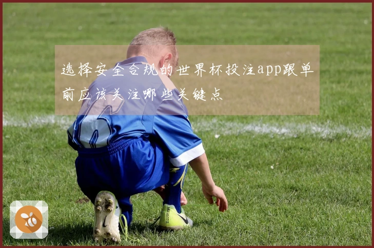 选择安全合规的世界杯投注app跟单前应该关注哪些关键点