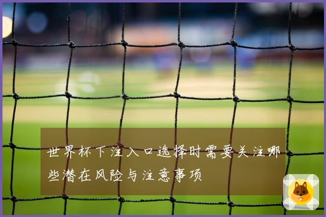 世界杯下注入口选择时需要关注哪些潜在风险与注意事项