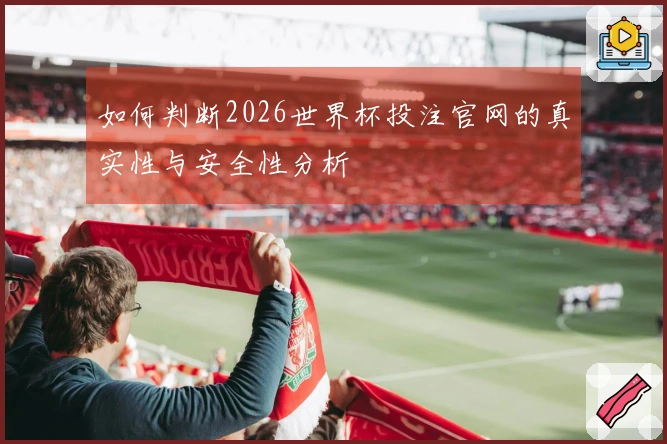 如何判断2026世界杯投注官网的真实性与安全性分析