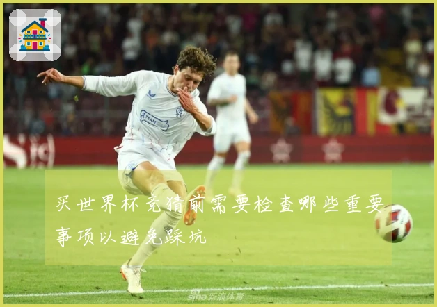 买世界杯竞猜前需要检查哪些重要事项以避免踩坑