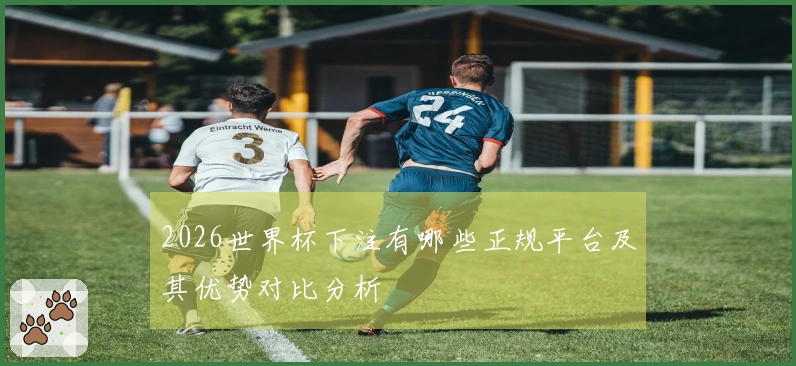 2026世界杯下注有哪些正规平台及其优势对比分析