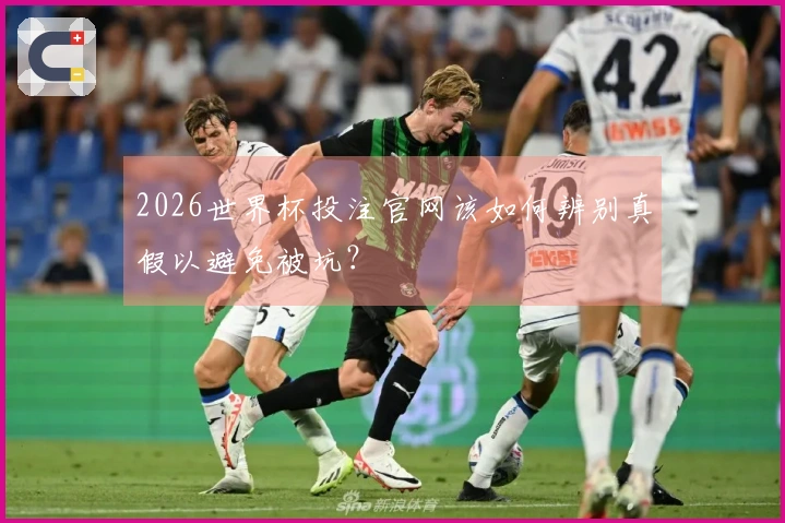2026世界杯投注官网该如何辨别真假以避免被坑？