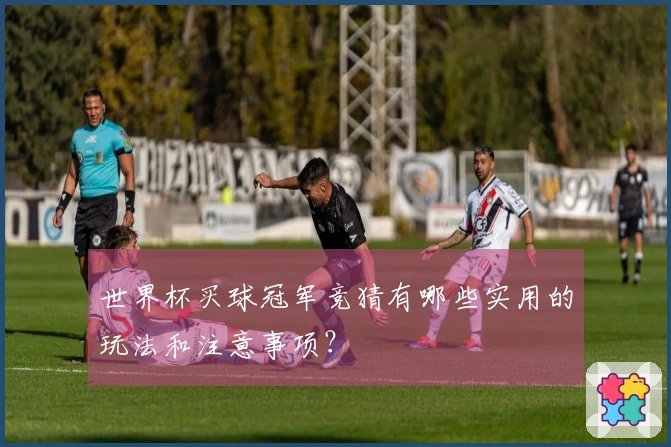世界杯买球冠军竞猜有哪些实用的玩法和注意事项？