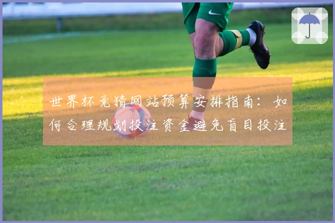 世界杯竞猜网站预算安排指南：如何合理规划投注资金避免盲目投注