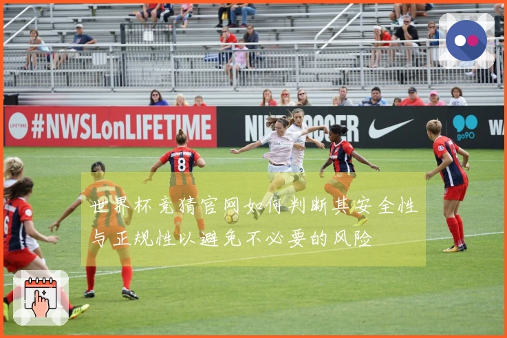 世界杯竞猜官网如何判断其安全性与正规性以避免不必要的风险