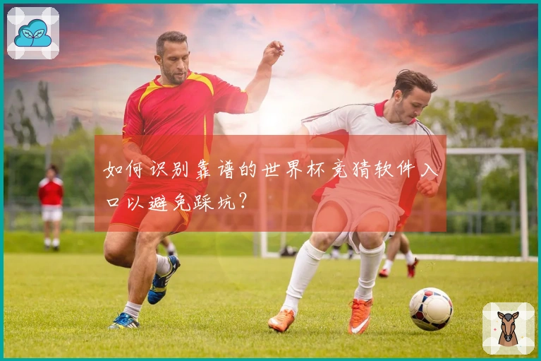 如何识别靠谱的世界杯竞猜软件入口以避免踩坑？