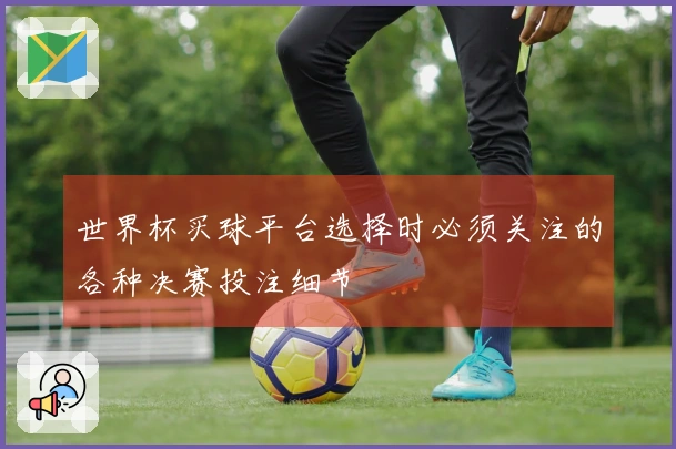 世界杯买球平台选择时必须关注的各种决赛投注细节