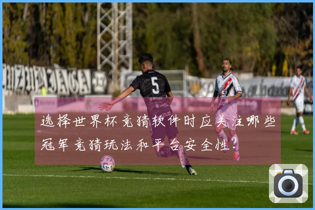 选择世界杯竞猜软件时应关注哪些冠军竞猜玩法和平台安全性？