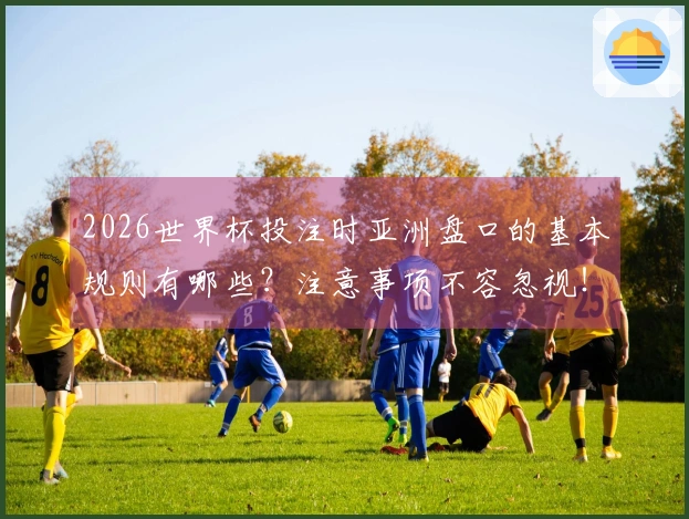 2026世界杯投注时亚洲盘口的基本规则有哪些？注意事项不容忽视！