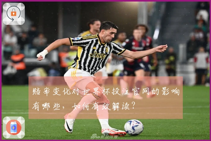 赔率变化对世界杯投注官网的影响有哪些，如何有效解读？