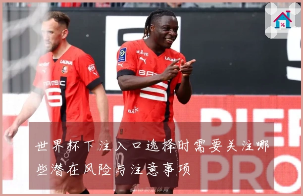 世界杯下注入口选择时需要关注哪些潜在风险与注意事项