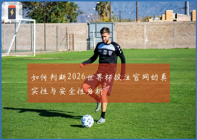 如何判断2026世界杯投注官网的真实性与安全性分析