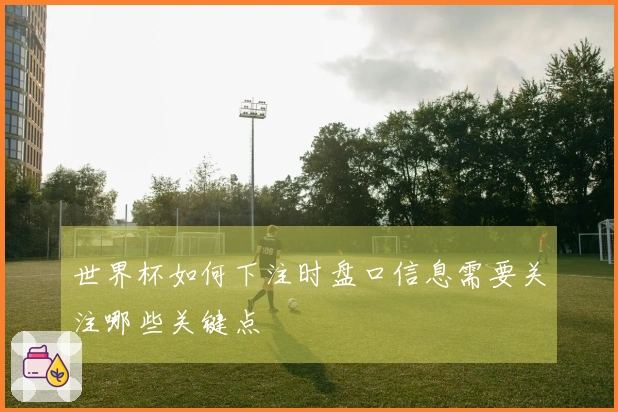 世界杯如何下注时盘口信息需要关注哪些关键点