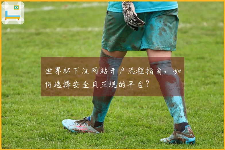 世界杯下注网站开户流程指南，如何选择安全且正规的平台？