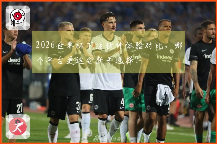 2026世界杯下注软件体验对比，哪个平台更适合新手选择？