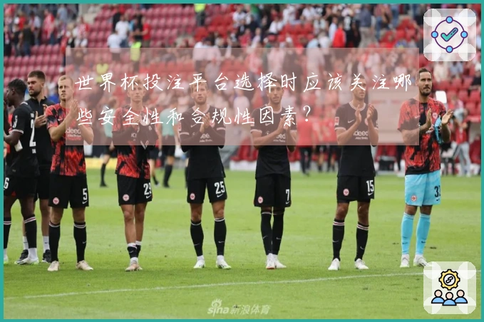 世界杯投注平台选择时应该关注哪些安全性和合规性因素？