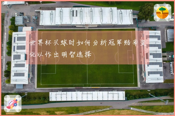 世界杯买球时如何分析冠军赔率变化以作出明智选择