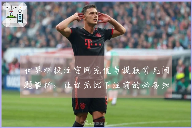 世界杯投注官网充值与提款常见问题解析，让你无忧下注前的必备知识