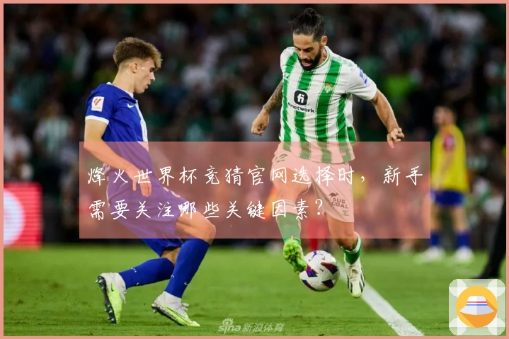 烽火世界杯竞猜官网选择时，新手需要关注哪些关键因素？