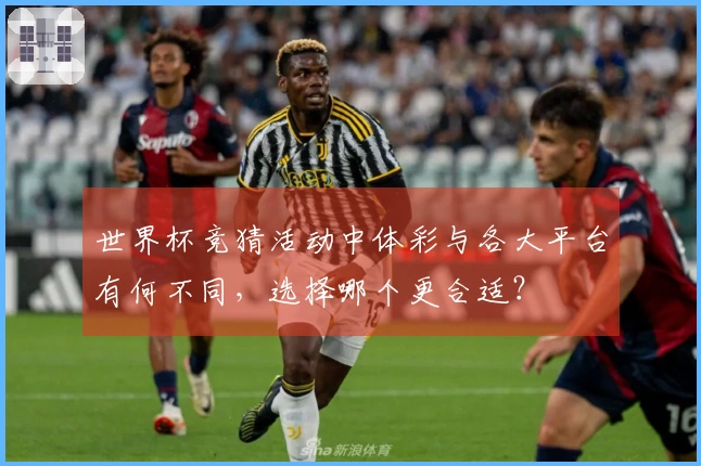 世界杯竞猜活动中体彩与各大平台有何不同，选择哪个更合适？