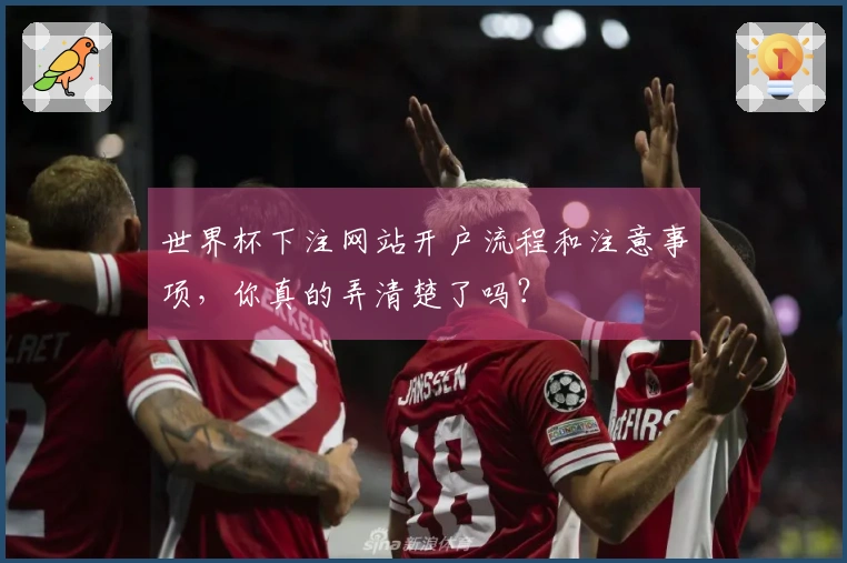 世界杯下注网站开户流程和注意事项，你真的弄清楚了吗？