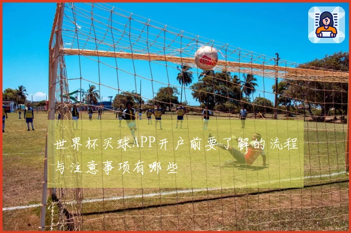 世界杯买球APP开户前要了解的流程与注意事项有哪些